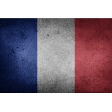 Curso de Francés A2 (incluye audio) a distancia