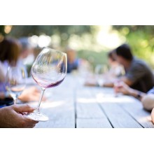 Curso de Iniciación a la cata de vino   a distancia