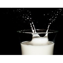 Curso de Elaboración de leches para el consumo a distancia