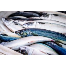 Curso de Manipulador de alimentos: productos del mar  a distancia