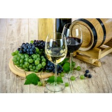 Curso de Servicio especializado de vinos con prácticas